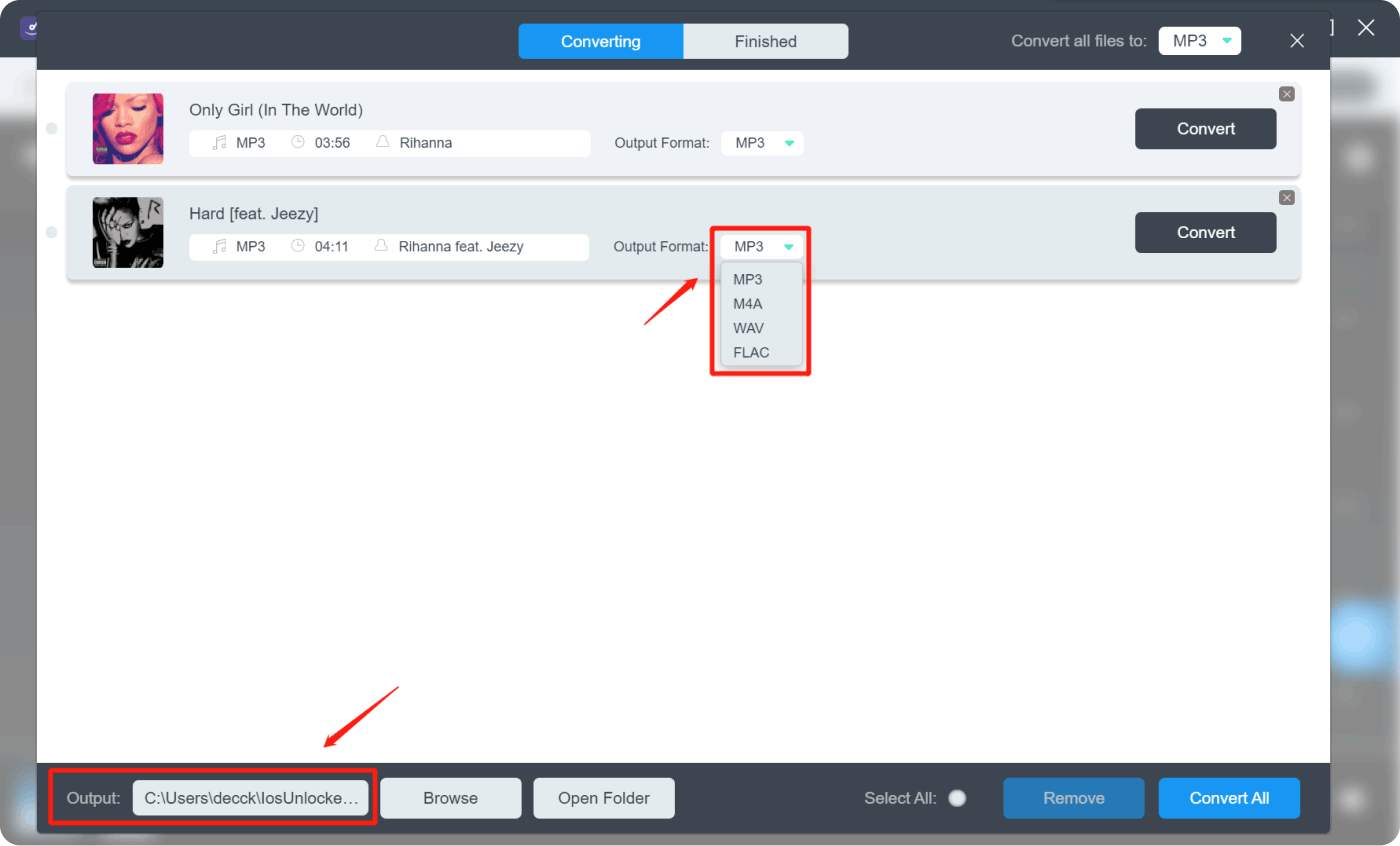 Choose Desired Output Format and Output Folder