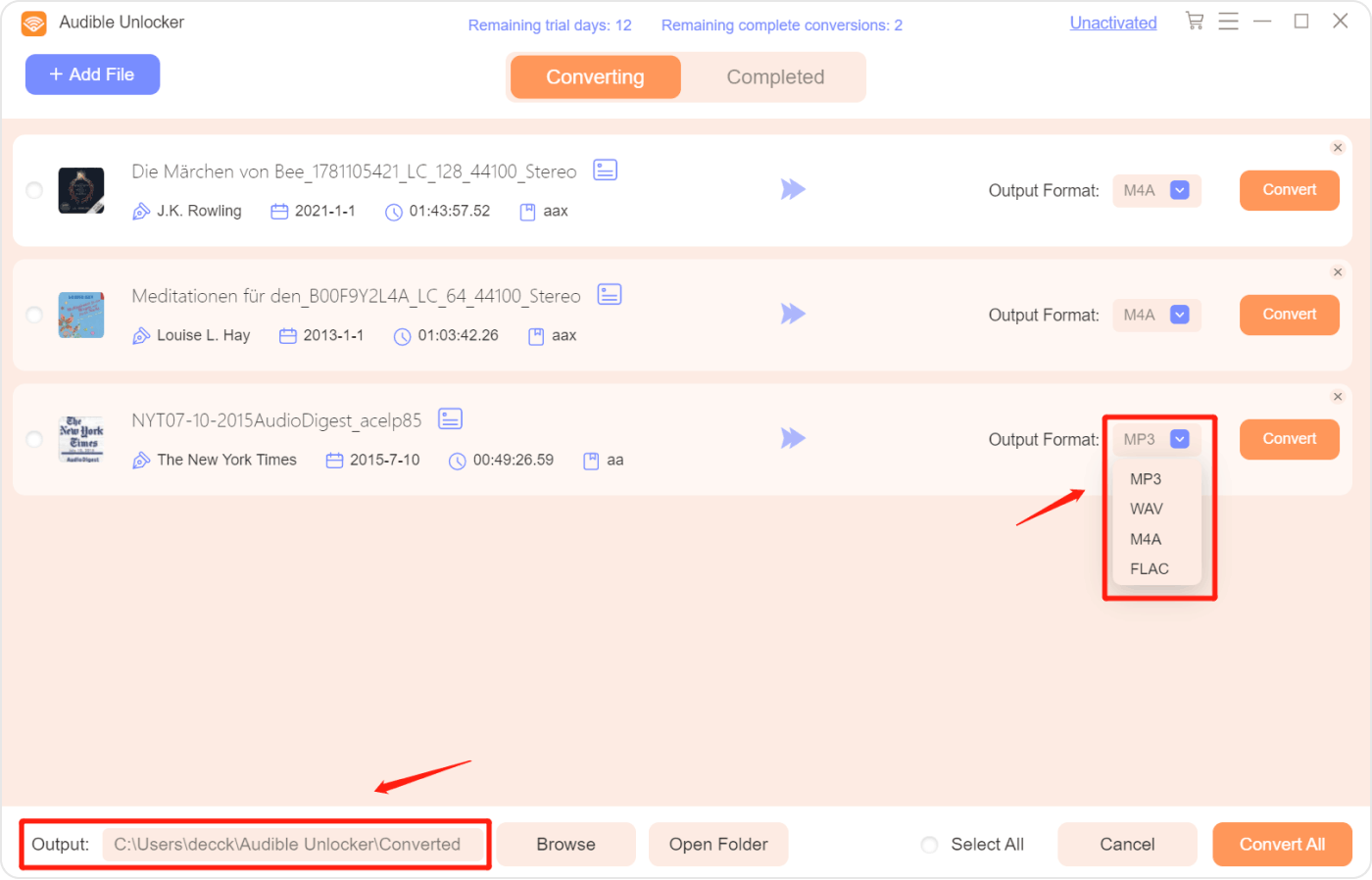 Choose The Output Format of The Audible Audiobooks You Like