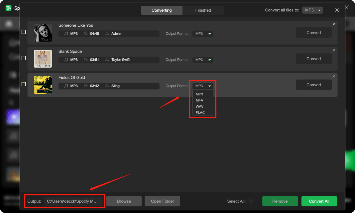 Choose The Output Format For The Chosen Songs on Spotify