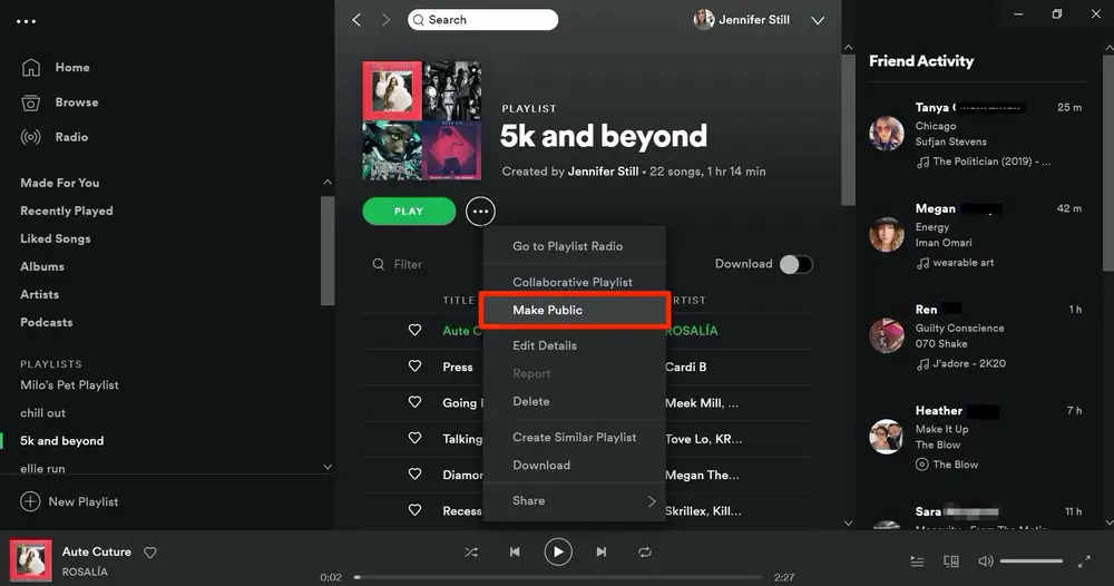 اجعل قائمة التشغيل عامة على Spotify