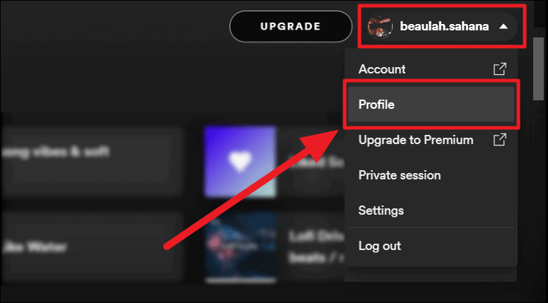 Setting Up Your Spotify Profile