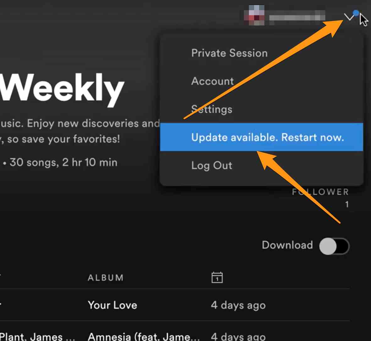 Spotify の歌詞が表示されない: アプリのバージョンを更新する