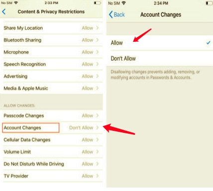 Change Restrictions to Fix Apple ID Greyed out Issue