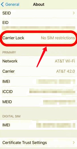 Verifique el estado de desbloqueo del iPhone a través de la configuración