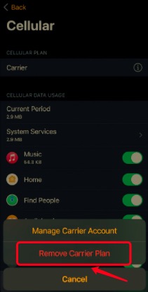 Remova a operadora do Apple Watch usando o iPhone