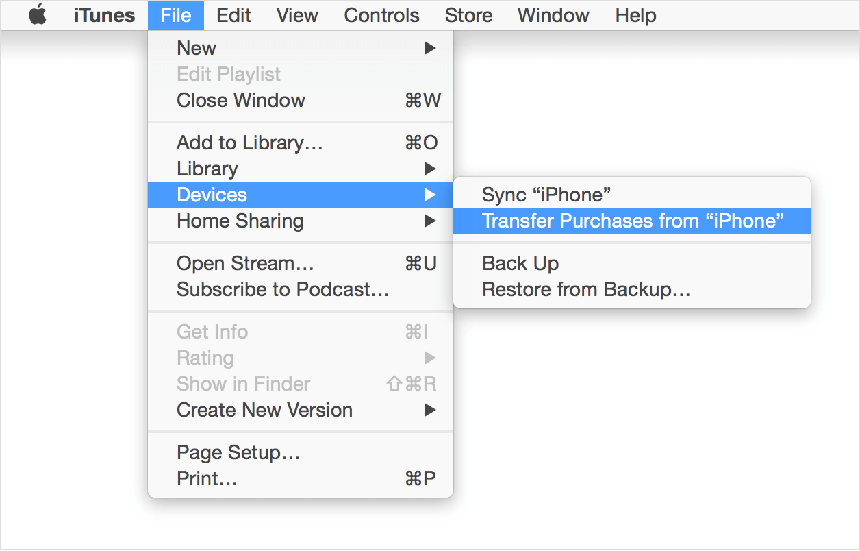 Trasferisci musica da iPhone a computer tramite l'uso di iTunes