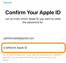 使用 Apple 支持重設 Apple ID 密碼