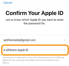 Reset Apple ID Password Using Apple Support