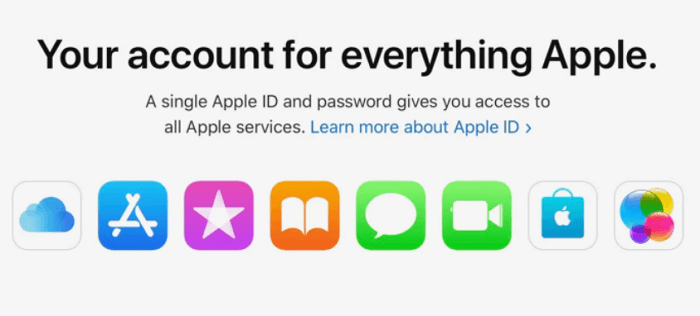 ID dell'App Store