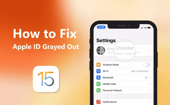 What Do You Need to Do When Your Apple ID Grayed Out?