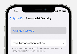 Reset Apple ID Password Using Your Own Device