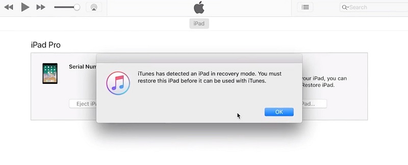iTunes hat ein iPad im Wiederherstellungsmodus erkannt
