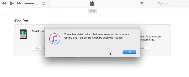 iTunes ha rilevato un iPad in modalità di ripristino