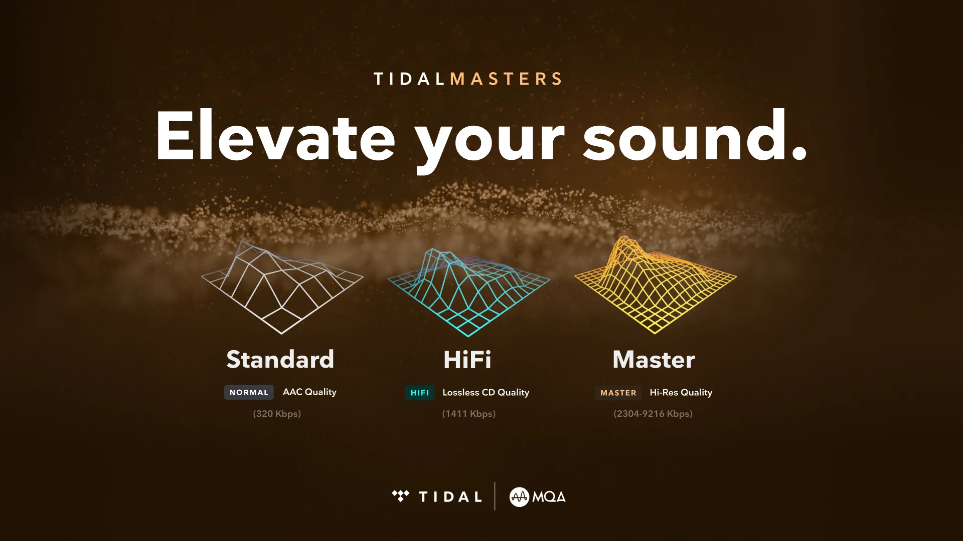 TIDAL 마스터