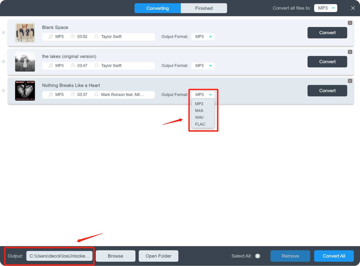 Scegli Formato di output e Cartella di output