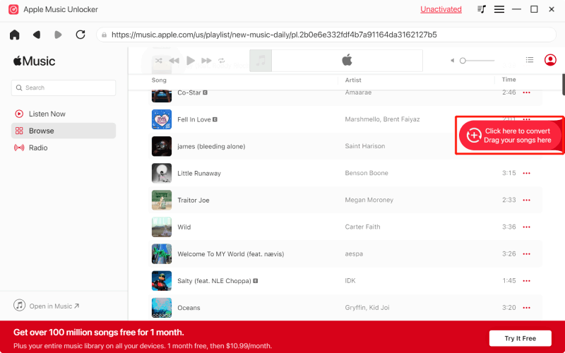 Seleziona Apple Music Songs