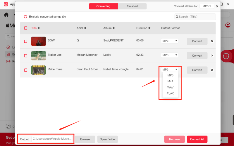 Customize Output Settings