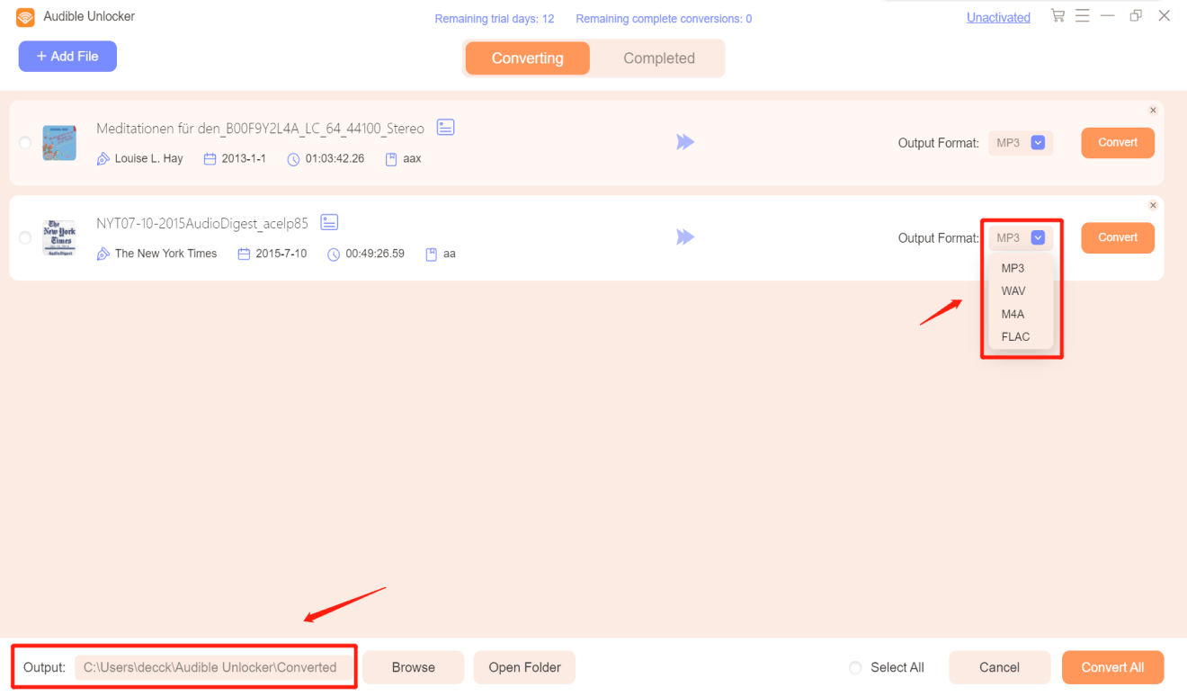 Seleziona Formato di output e Cartella di output