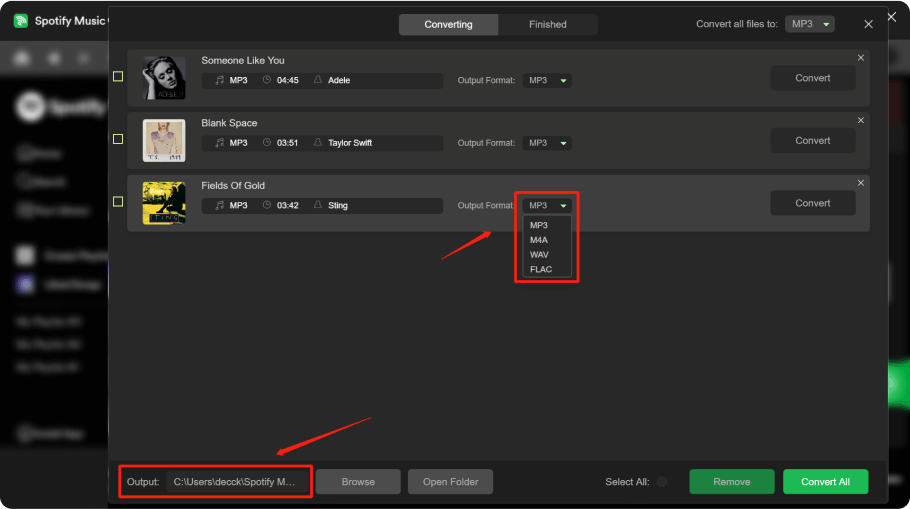 Sélectionnez le format de sortie