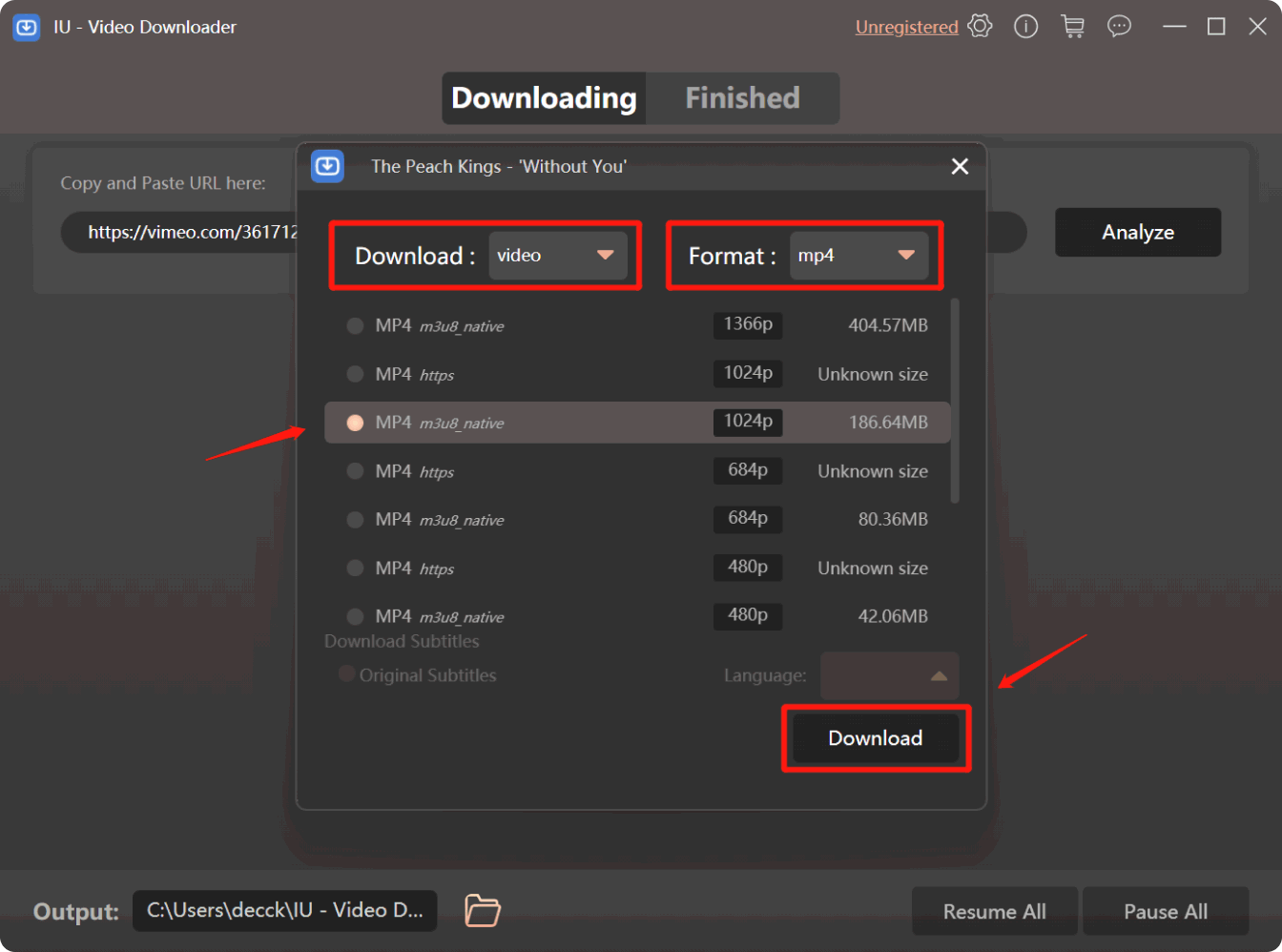 Seleziona la cartella di output e avvia il download